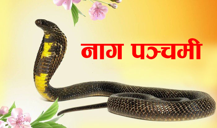 आज नागको पूजा गरी नाग पञ्चमी पर्व मनाइँदै