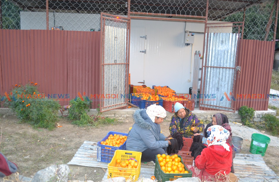 नारच्याङमा चिस्यान केन्द्र सञ्चालन (तस्बिरहरु/भिडिओ)