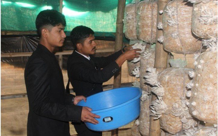 विद्यालयमै च्याउ खेती गरेर पढाइ खर्च जुटाउँदै विद्यार्थी