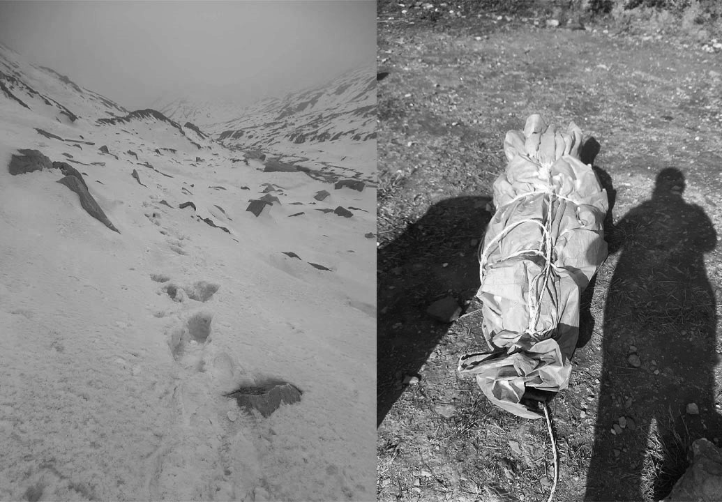 धौलागिरि हिमालमा वेपत्ता भरियाको शव भेटियो