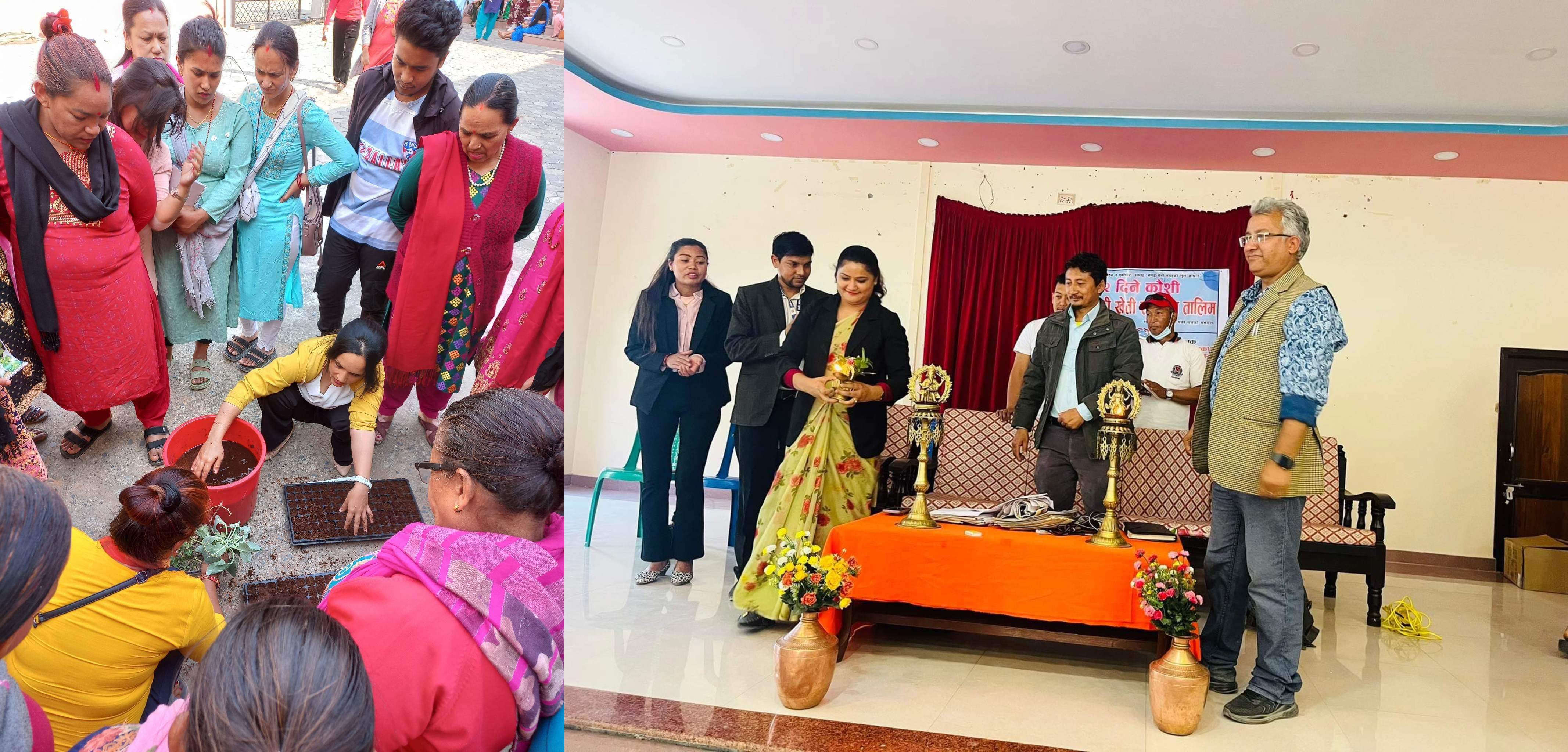 बेनीबजारमा कौसीखेती गर्नेलाई तालिम र प्रविधि सहयोग