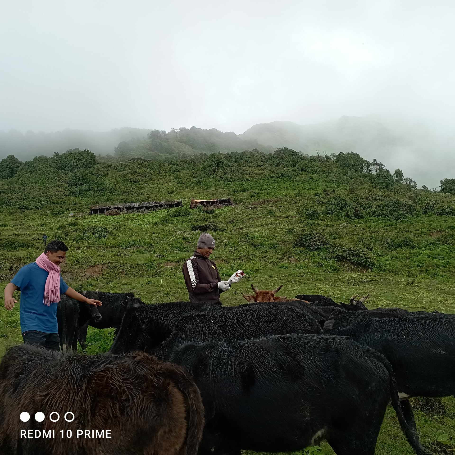 धवलागिरी गाउँपालिकाका जनप्रतिनिधि र प्राबिधिक बुकी पुगे