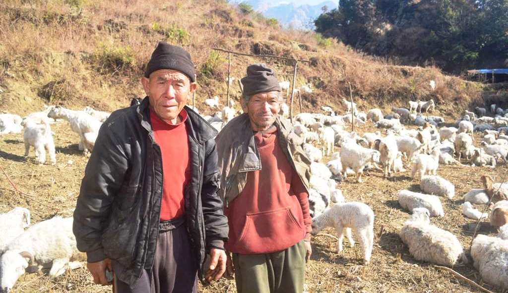 गोठमै मितेरी साइनो लगाउँदा...