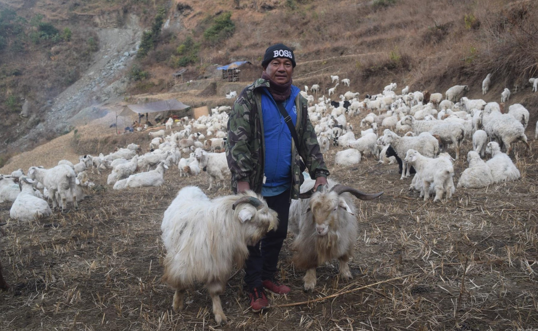करिब दुई दशक विदेशमा विताएर भेडिगोठ सम्हाल्न कस्सिएका हिमबहादुर