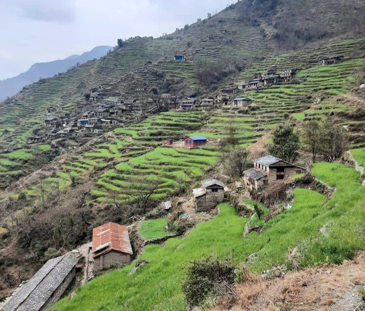 मलम्पारमा चिर्पट प्रहार गरि भाइद्वारा दाइको हत्या