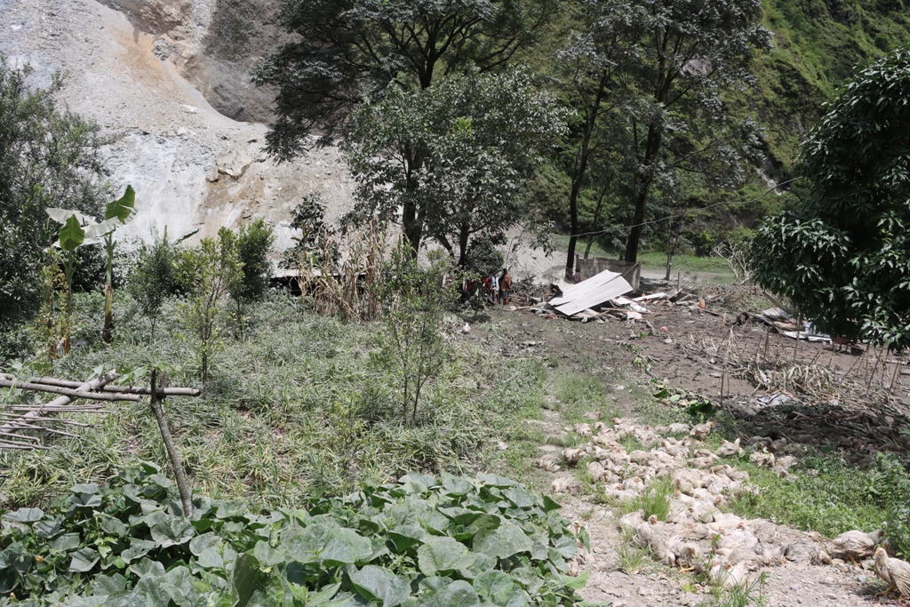 कालीगण्डकी नदीमा पहिरो खसेर आएको छालले कुखुरा फार्ममा क्षति