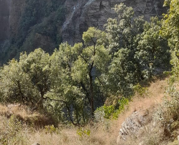 ट्रिपर दुर्घटनामा दुई भारतीय नागरिकको मृत्यु