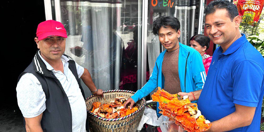 रातो च्याउको माग उच्च