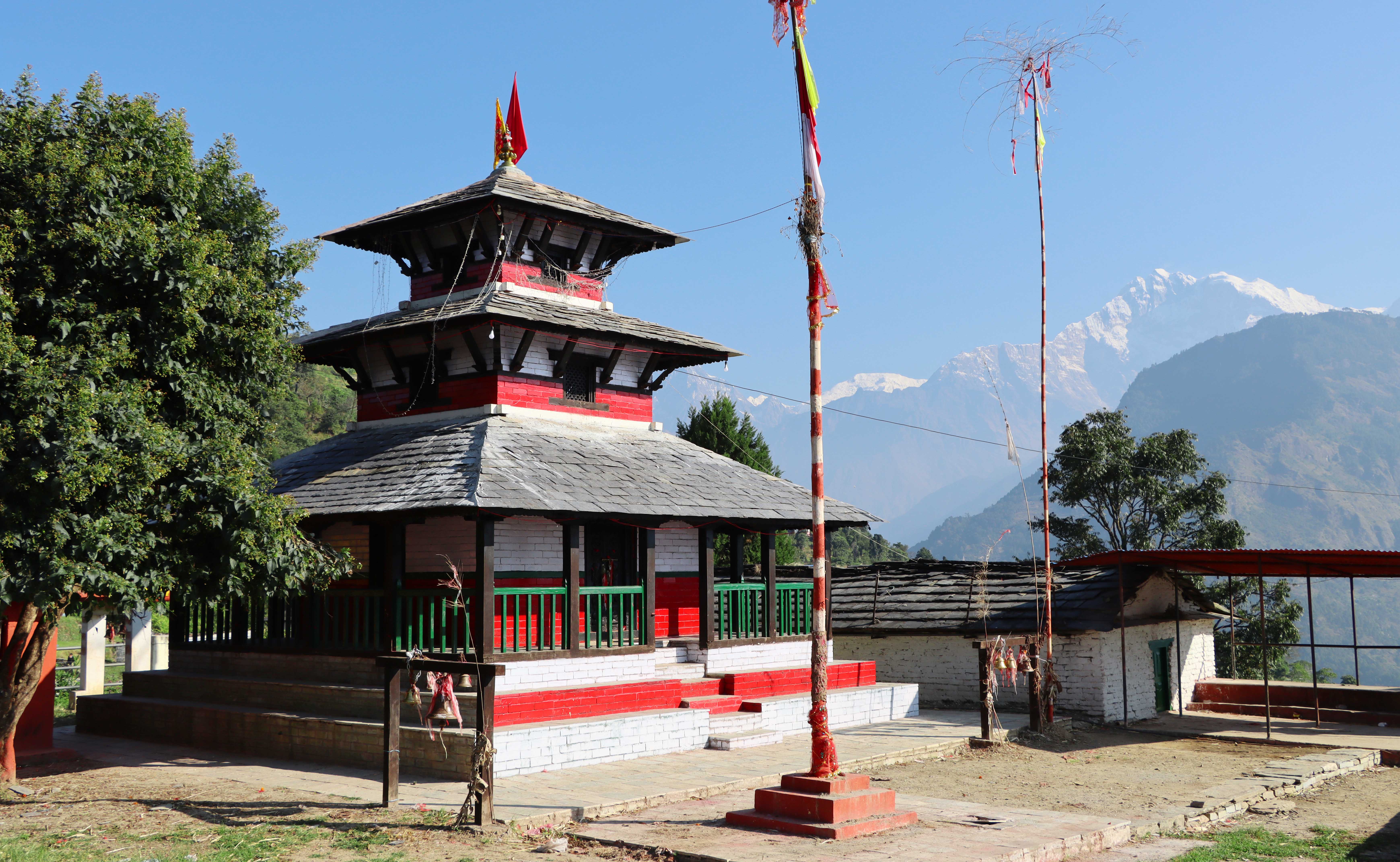 राखु कोतमा राँगोको मार हान्न करिव पाँच लाख बोलकबोल