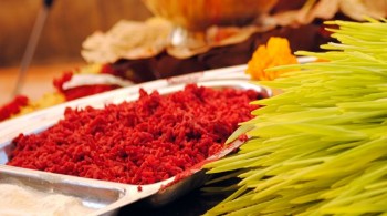 दशैंको टीका दोस्रो दिन पनि मान्यजनबाट आशीर्वाद लिने क्रम जारी