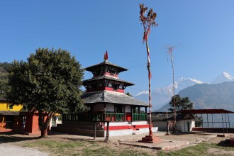 भगवती कोतको सरकारी राँगोको मार हान्न पाँच लाख बढी बोलकबोल