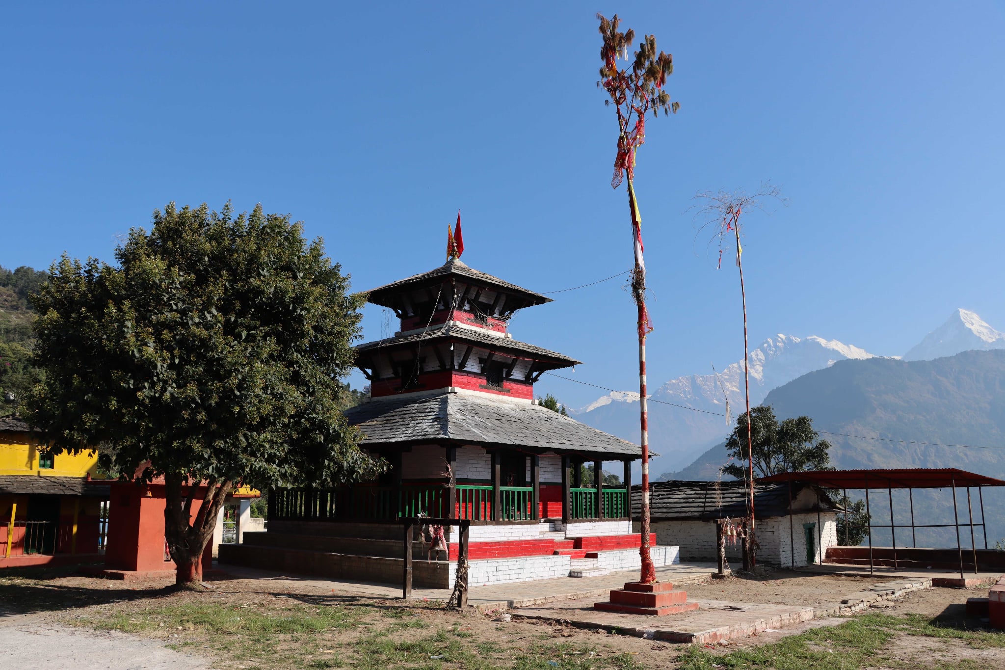 भगवती कोतको सरकारी राँगोको मार हान्न पाँच लाख बढी बोलकबोल